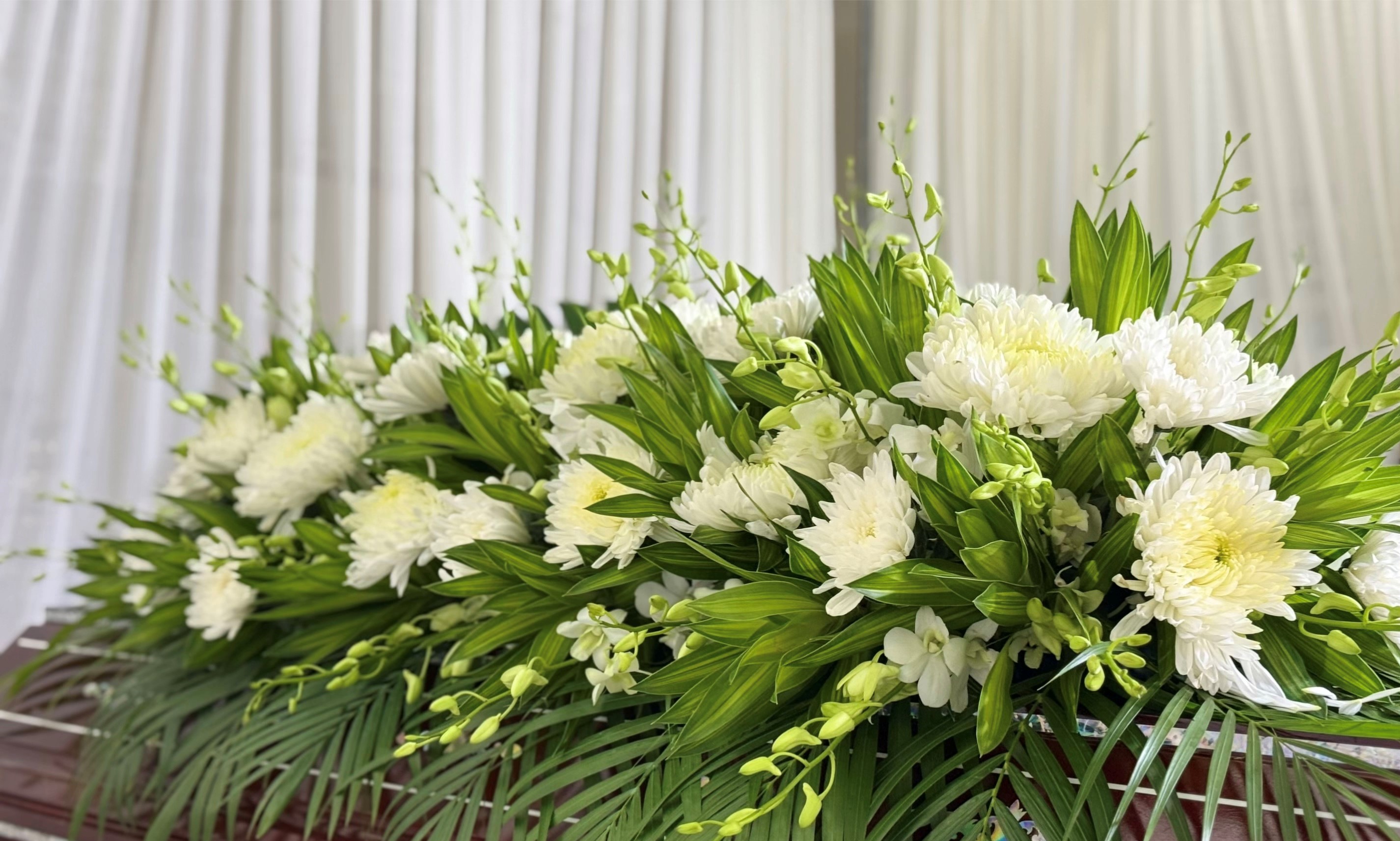 Bông hoa nắp hòm